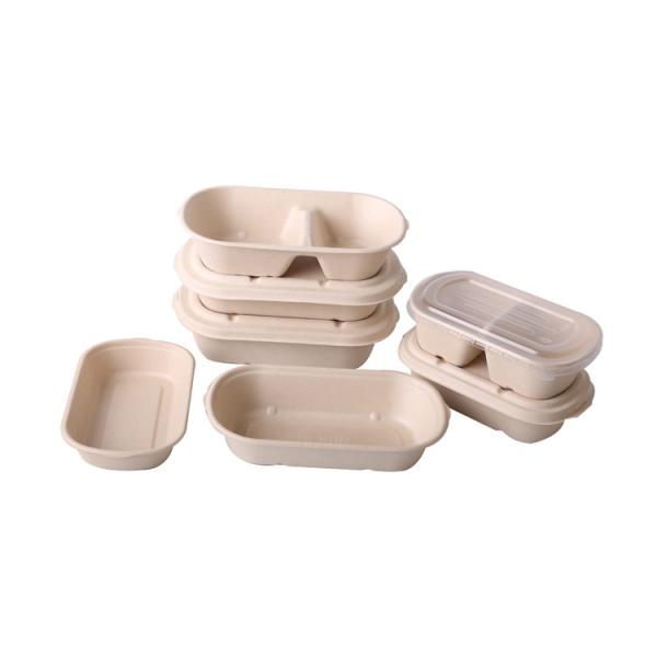 Sugarcane Compostable Freezer Containers Take Away Food Packaging Safe