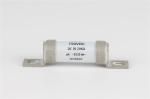 Low Speed Electric Vehicle Fuses , Commercial Vehicle DC750V Automotive Fuses