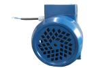 Garden / Farm Irrigation Electric Motor Driven Water Pump 1000W 1 Inch QB80