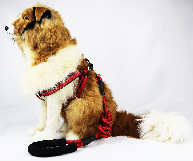 High Durable Adjustable No Pull Safety Pet Vest Training Daily Walking Medium And Large Dog Harness