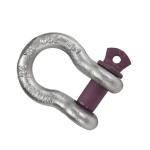 High Strength Carbon Steel G209 Bow Shackle Lifting With Galvanized Finish