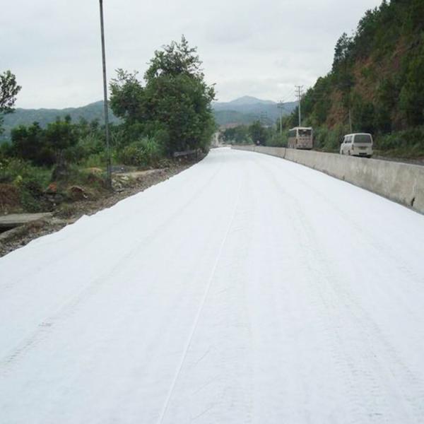 Modern Design 1-6 Meter Fiber Geo Textile Geotextile Cloth Paving Filter Fabric