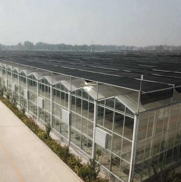 Farm Agriculture Greenhouse Equipments Multi Span Glass Inner Outer Shading