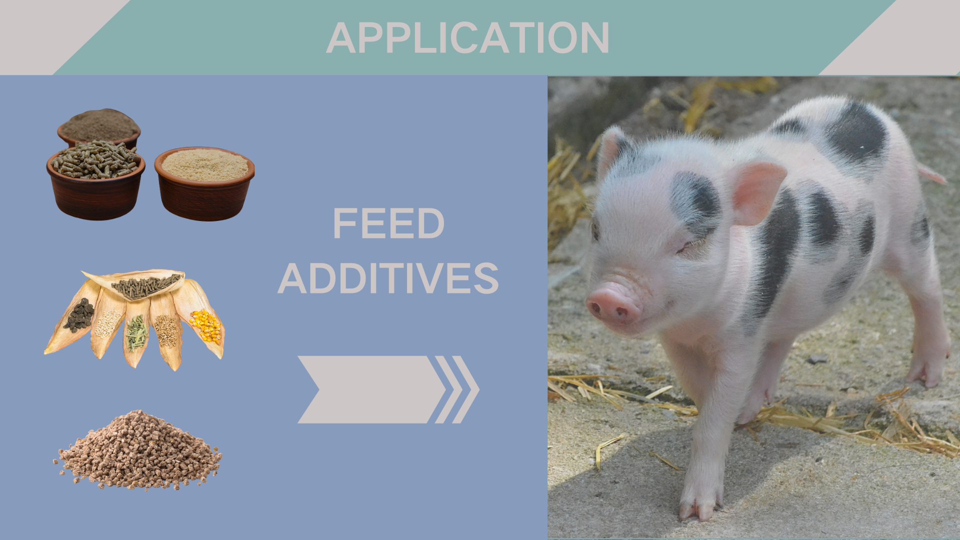 Feed Grade DL Methionine 99% Powder Antibiotic Antibacterial Agents for Poultry Feed