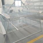 Fireproof Steel Cage For Chicken , Indoor Broiler Farm Cage Poultry House