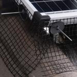 Solar Panel Bird Proofing Mesh