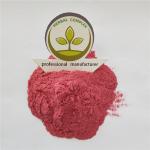 raspberry juice powder buy best health benefits supplement dried raspberry