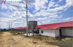 Broiler Poultry Farming Equipment H Type Galvanized Automatic Battery Chicken