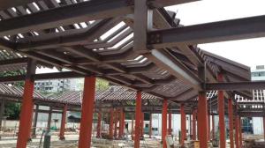 China Customsized Poultry Farm Structure , Hollow Pipe Steel Structure Tower - Red Paint factory