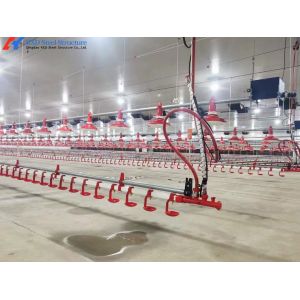 OEM ODM Broiler Poultry Equipment Customized Broiler Pan Feeder