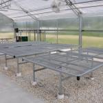 Galvanized Expanded Metal Plant Bench Table Greenhouse For Flower Vegetable