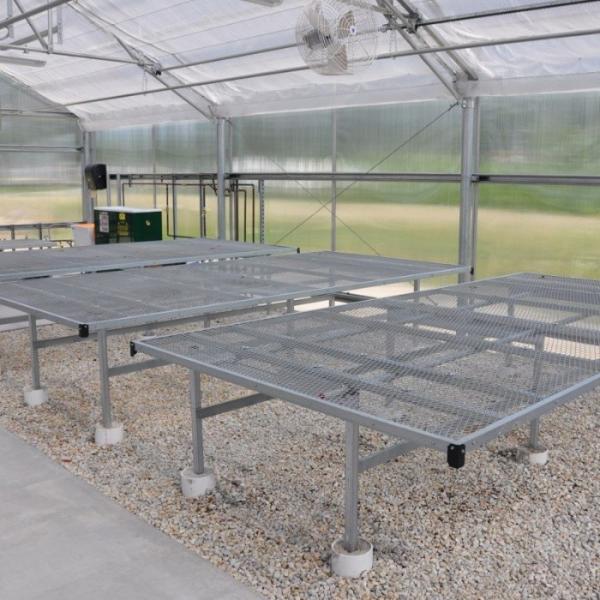 Galvanized Expanded Metal Plant Bench Table Greenhouse For Flower Vegetable