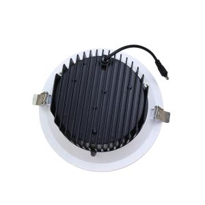 China 20W 5 Starts Hotel Recessed Adjustable 170mm 180mm Cut Out Led Downlight factory