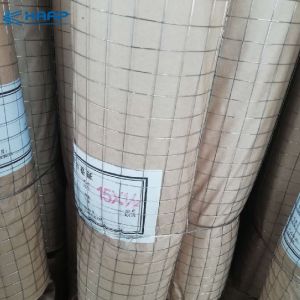 Concrete Reinforcing Roll 0.8mm Galvanized Welded Wire Mesh