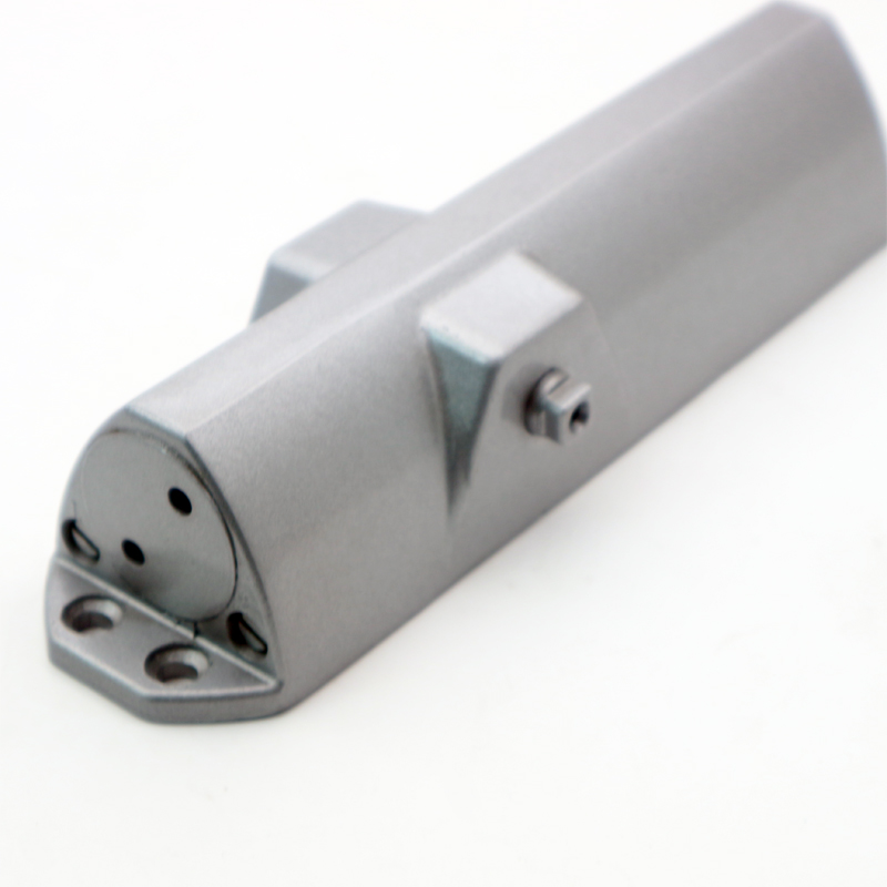 Heavy Duty Aluminum Automatic Door Closer Ferme Porte Automatique with Silver Printing