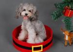 Santa Belt Pattern Felt Cat Cave , 35*35*10 Cm Breathable Felt Cat House