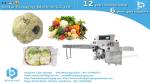 Greens cabbage leafy pouch packaging horizontal servo packing machine