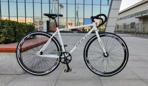 China 26 classic bike / OEM Single Speed Steel Fixed Gear Bikes With Disc Brake factory