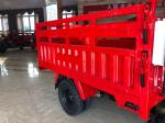 Motorized 200cc Petrol Passenger Tricycle with Super Galaxy Design in South