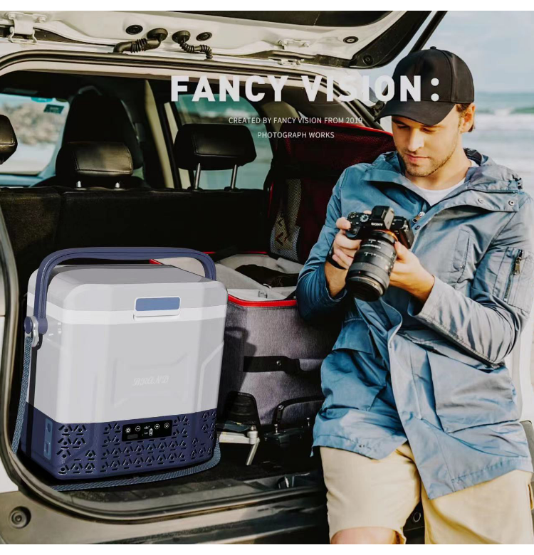 12L Portable Camping Compressor Car Fridge -20 10 C Refrigerator for Home and Camping