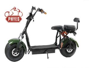 China New Arrival Cictycoco 2 Seat 1000w 60v Fat Tire Electric Scooter factory