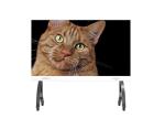 Low Heat Dissipation Conference Room LED Display SMD1212 1.5mm Pixel Pitch