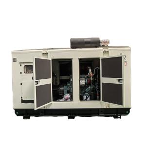 China 230/400V 300KVA 250kw Super Silent Super sound proof Biogas LPG Biomass Natural Gas Generator Set factory