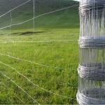 Galvanized Fixed Knot Field Fence Metal Iron White Garden Fence Aluminum Fence