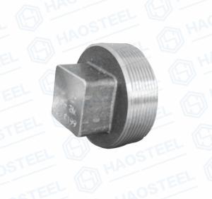 China ANSI Industrial Pipe Forged Socket Plug ANSI B16.9 Equal Shape factory