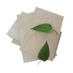 Flat Cut 18mm Birch Faced Plywood 4x8 12mm Melamine Glue