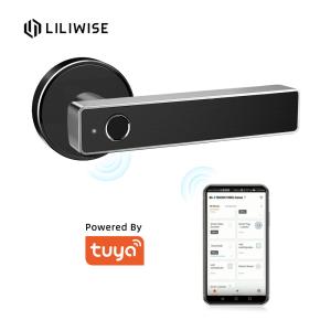 China Tuya WiFi App Bluetooth Door Lock Biometric Fingerprint Door Handle Digital Keyless Smart Door Lock factory