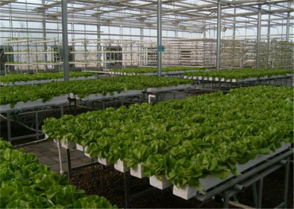 Good Ventilation Greenhouse Rolling Benches , Greenhouse Seedbed System 1.2 - 5
