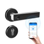 Simple Black Intelligent Bluetooth Door Lock Fingerprint Bluetooth Remote