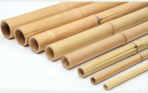 Eco Friendly Natural Bamboo Stakes Poles Cannes 16cm Dia With Different Size