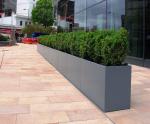 Wholesale Fiberglass Resin Flower Planters Modern Style FRP Plant Pots For Decor