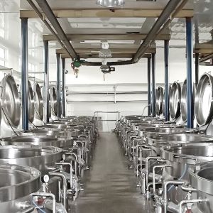 Automatic Jujube Processing Line 50T/H Extraction And Beating