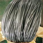ASTM Stainless Steel Wire Rope 302 0.08mm Full Hard 3mm Steel Cable