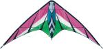 Fashion dragon style nylon Delta stunt kite ,Jazze Delta sports kite