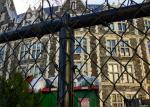 Chain Link Wire Mesh Fencing, PVC Coated Chain Link Fences, Plastic Chain Link