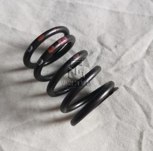 China Compressor Spring 04179633 0417 9633 4179633 for deutz FL2011 F4L912 913 factory