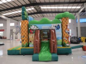 China Oxford Castle Combo Bounce House , Bounce House For Indoor Use factory
