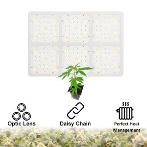 China 120° Beam Angle COB LED Grow Light Panel For Greenhouse Three Lighting Modes factory