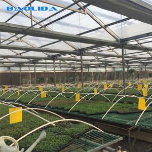 China Commercial Seedbed Wire Rolling Greenhouse Benches For Flowers factory