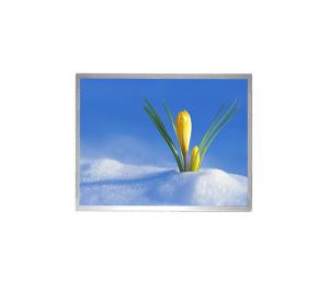 China AUO G170ETN02.0 17 Inch Industrial LCD Panel With 16.7M Colors 1280 X 1024 Resolution factory