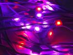 Holiday House decor lights sets Outdoor Lights Smart WiFi Outdoor point pixel