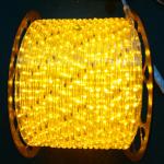 50Ft 100Ft 150Ft 300Ft 2-Wires 1/2 LED Rope Lights 110v 120v 220v 240v