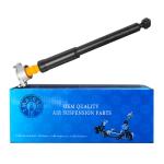 Rear Shock Absorber Shock Damper 2123261030 2183200730 for Mercedes-Benz W212
