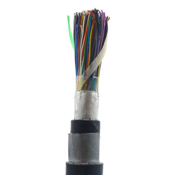 50 100 400 2400 Pair Cat3 Steel Wire Armoured Outdoor Air Core/ Jelly Filled