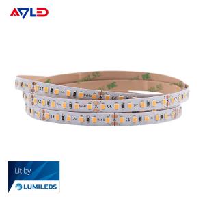 China White Led Strip Light 2700K 3000K 4000k 6500K Dimmable Waterproof Strip Light factory