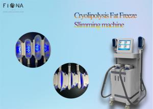 China Coolsculpting Cryolipolysis Slimming Machine For Beauty ABS Material factory
